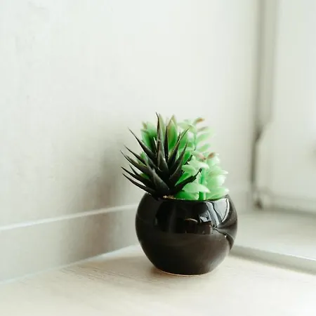 La Dolce - De Standing Appartamento Mulhouse