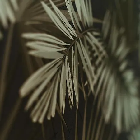 Appartamento La Dolce - De Standing *