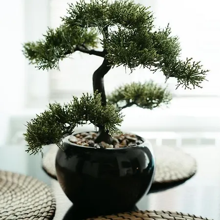 La Dolce - De Standing Appartamento